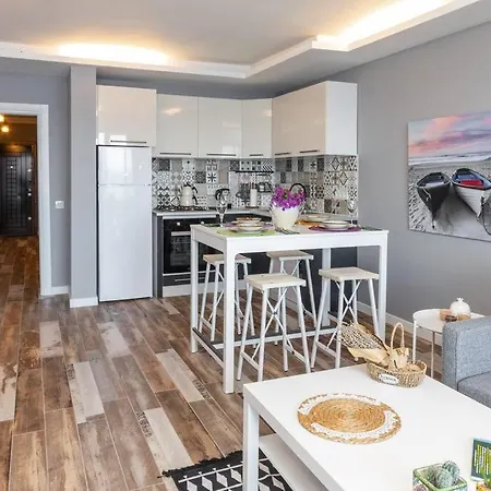 Luxurious Middle Flat Seaside In Heart Of 公寓 *